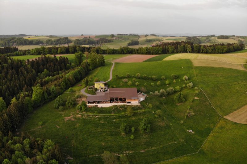 created by dji camera